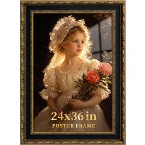 Picrit 24x36 Gold Black Ornate Poster Frame, Shatterproof Cover, 1 Pack
