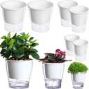 DEELF OUTLET 6-Pack  Clear Self-Watering Planters Medium African Violet Pots Plastic Wick Flower Plant Pots for Indoor Plants, Spider Plant, Orchid Pot, Clear and White