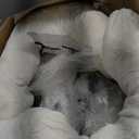 Cooling Elevated Dog Bed with Pillows,Portable Washable Raised Dog Cot with Chew Proof Mesh and Metal Frame,No-Slip Rubber Feet for Indoor & Outdoor Use,XLarge,Gray (XL(48.5x35.5x8)Inches, Grey)