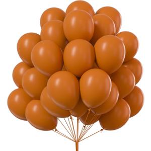 PartyWoo Burnt Orange Balloons 100 pcs 10 Inch Terracotta Rust Fall Color Latex Helium Balloons for Graduation Thanksgiving Halloween Baby Shower Birthday Party Decorations Orange-F53