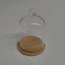 Home Decor Vases Glass Flower Display Cloche Bell Jar Dome Immortal Preservation + Wooden Base Everlasting Flower Glass Cover