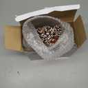 24 Pcs Pine Cone for Christmas Tree Christmas Ornament 3 Size Pine Cone for Craft Decorating with Silver Metal Clip Rustic Farmhouse Xmas Decoration Wreath DIY Gift(Snow)