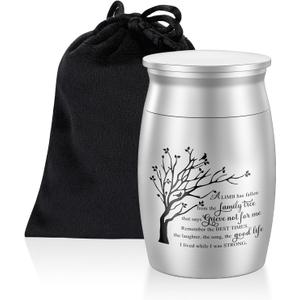 Small Urn for Human Ashes Keepsake Aluminium 3 inches Keepsake Cremation Urn for Ashes for Men Women-Silver