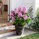 2 Pack Large Artificial Hydrangea Plants UV Resistant Fake Plastic plantas Flowers Trees Indoor Outdoor Realistic Floor Plants Faux Tree for Home Porch Garden Office Porch Patio Front Bonsai Decor (26 IN Pink, 9 Heads)