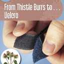 From Thistle Burrs to... Velcro (21st Century Skills Innovation Library: Innovations from Nature)