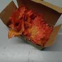 YEGUO 4 Packs Thanksgiving Decorations for Home, Fall Lights Battery Operated, Total 40ft 80 LED Lighted Fall Garland Maple Leaves for Thanksgiving Decor