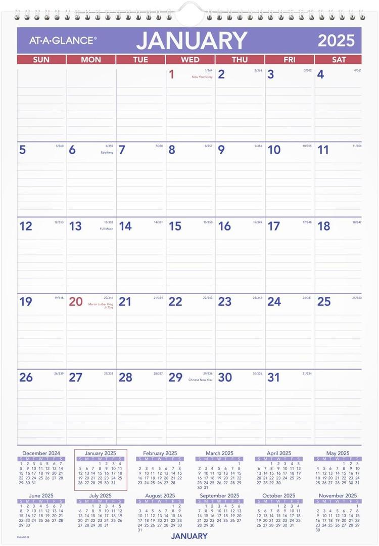 AT-A-GLANCE 2025 Erasable Calendar, Dry Erase Wall Planner, 12" x 17", Small (PMLM022825)