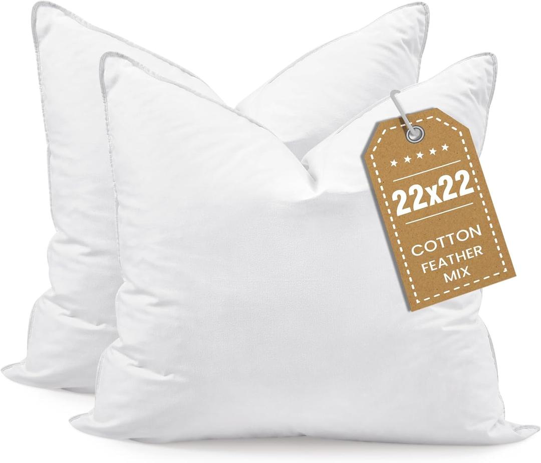 BHZ Euro Throw Pillow Inserts, 22x22 Down Feather Alternative Pillow Inserts Set of 2, Decorative Soft Large Square White Throw Pillows Insert for Couch Bed Dorm Sofa with Breathable Cover