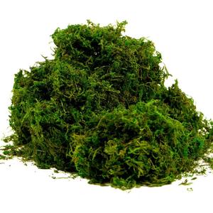 BYHER Artificial Moss Fake Green Grass for Centerpieces Home Kitchen Garden Decor (8OZ, Fresh)
