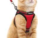 rabbitgoo Cat Harness and Leash Set for Walking Escape Proof, Adjustable Soft Kittens Vest with Reflective Strip for Cats, Comfortable Outdoor Vest, Red, M