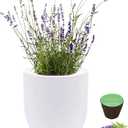 Hydroponic Herb Growing Kit, Self-Watering Kitchen Herb Garden Starter Kit with Organic Seeds (Lavender)