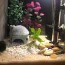 2 x YXQ Aquarium Decorations Ceramic Mushroom House for Fish Tank Landscape to Small Shrimp/Goldfishes Hiding Rest and Breed (Grey) (Gray)