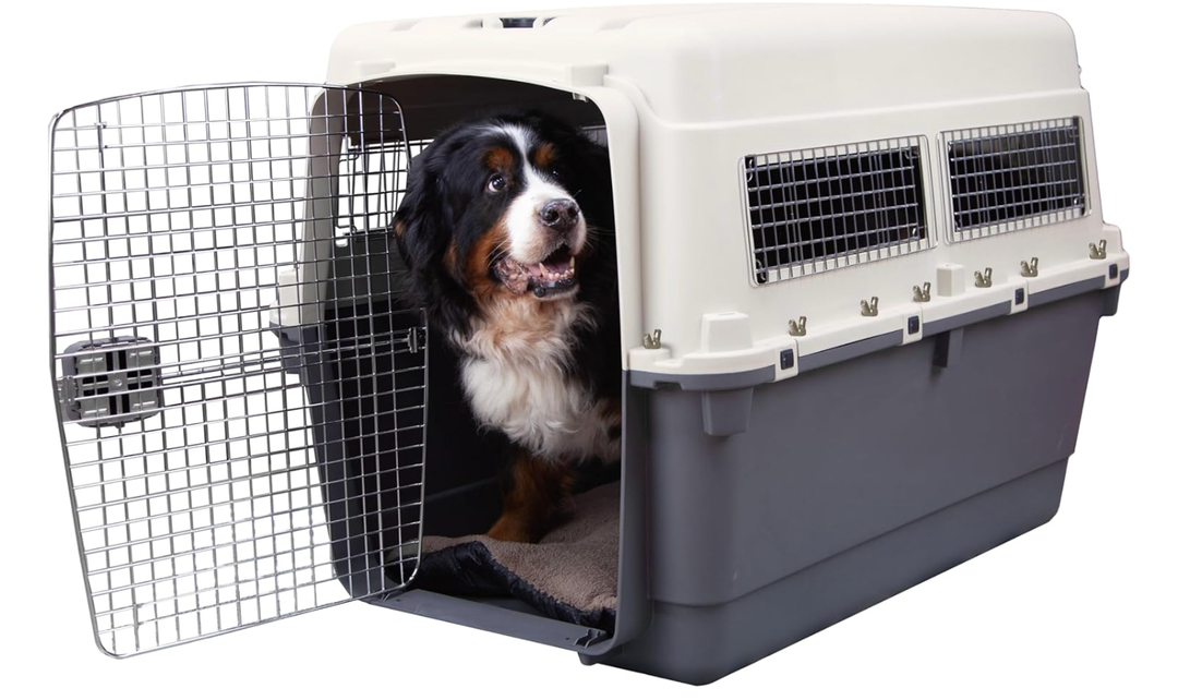 SportPet Airline Compliant LARGE 31.5" Travel Dog Kennel- Durable Plastic Airline Pet Carrier w/ Removable Wheels & Food Bowls, Collapsible Indoor/Outdoor Dog Kennel, Dogs up to 28"L & 20"H-Dark Gray