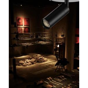 Zoomable LED Ceiling Spotlight Fixture, Flush Mount Adjustable Spotlight, Indoor Bright Accent Monopoint Fixture for Living Room Bedroom Loft Cafe Bar (10W-2700K, Embedded-Black)