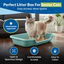 KittyGoHere Senior Cat Litter Box 1 Pack, Large Green Low Entrance Kitty Litter Box, Sized for Cats Comfort, Perfect for Senior and Arthritic Cats, Made in USA