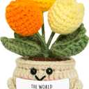 OASSIE Teacher Appreciation Gifts for Women Men - Handmade Positive Tulip Crochet Flowers - Teachers Day Graduation Birthday Thank You Appreciation School Retirement Gifts for Teachers from Student