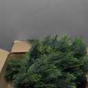 16.5inch Height Artificial Cypress Topiary  Breathe Life & Lushness into Any Space  Lifelike  UV-Resistant Great for Indoors & Outdoor - Easy to Install  Set of 2
