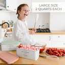 ZICOTO Set of 2 Reusable Ice Cream Tub Containers 2 Quart Each - Perfect for Homemade Sorbet, Frozen Yogurt Or Gelato - Stackable Storage Containers, Stickers And Lids Stores Easily In Freezer