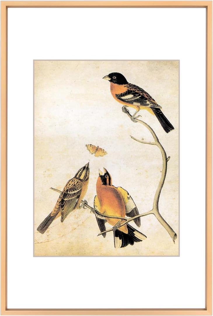 8x12 Picture Frame, Gold Metal Photo Frames with HD Glass, Fits 6x8 with Mat or 8 x 12 without Mat, Display for Wall and Table, 1 Pack