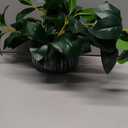 AlphaAcc Artificial Plants Decor Greenery Fake Succulents Indoor Potted Fake Plant with Rustic Black Clay Planter for Home Decor Farmhouse Room Bathroom Bedroom Kitchen Office Table Decor