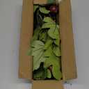 Fake Plants Branches Artificial Greenery Stems Set of 3, Faux Greenery Stems for Vase, 24.4" Artificial Fiddle Stems with Fig Fruits, Fake Greenery for Dining Room Bathroom Living Room Centerpieces