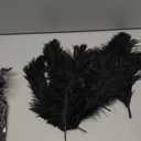NEWONG 30pcs Black Ostrich Feathers Natural Bulk 8-10inch(20-25cm) Vase Craft Wedding Home Party Centerpieces Christmas Day Decoration