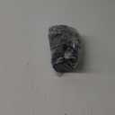 Polaris RZR Side Net, Genuine OEM Part 2685113, Qty 1
