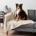 PetAmi Fluffy Waterproof Dog Blanket for Medium Large Dogs, Soft Warm Pet Sherpa Throw Pee Proof Couch Cover, Reversible Cat Bed Blanket Sofa Protector, Plush Washable Pad (Beige Cream, 40x60)