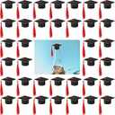 36 Pieces 2025 Mini Graduation Caps with Tassels Graduation Wine Bottle Toppers(Black Cap with Purple Tassel)