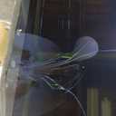 TCL 75 Inch Class QM6K Series | Mini LED QLED 4K HDR | 75QM6K, 2025 Model | 120HZ-144HZ High Brightness Smart Google TV Dolby Atmos Onkyo Audio | Voice Remote Alexa Gaming Streaming Television