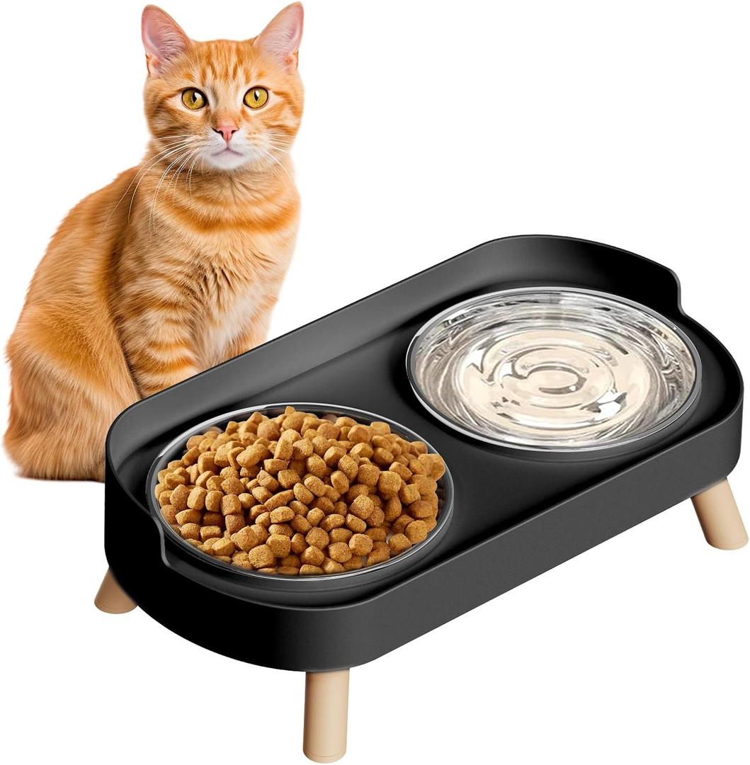 Elevated Cat Bowl, Raised Cat Food and Water Bowl Set for Indoor Cats, Splash Proof with 4 Stainless Steel Pet Food Bowls for Cats and Puppies, Whisker Fatigue and Dishwasher Safe - Black