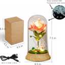 Pink Roses from Daughter for Mom Mothers Day, Beauty and The Beast Rose, with LED Light Up Rose in Dome, for Wife Grandma Christmas Day Valentine Day Birthday for Her Gift (1 Pink Rabbit)