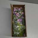 20" Artificial Flowers Bouquet for Vase Indoor, 6 stem Faux Silk Daisies Lavender Silver Dollar Eucalyptus Leaves Wildflower Floral Arrangement Home Decor for Living Room Dining Table Entryway (Purple)