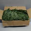 Christmas Garland with Dual Color 50 LED Lights 9 Ft, Prelit Xmas Garland with Cypress Leaf, Timer by Remote Control and Batteries Operated for Mantle Staircase Indoor and Outdoor (Green PVC 9FT)