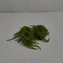 2 Pack 32 Artificial Hanging Plants Faux String of Pearls Plant Fake Green Amaranthus Flower Wall Hanging Lover Tears Wedding Home Garden Decoration