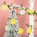 Lemon Decor String Lights with Remote Timer, 10FT 30 LED Lemon Fairy String Lights with 15 3D Colorful Lemon Slicer Lights, USB/Battery Operated Light String for Summer Garden Decor