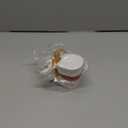 breesky Human Anatomical Lumbar Disc Herniation Model:1.5 Times Life Size Lumbar Disc Teaching Model Tool-for Medical &Teaching & Learning and Scientific Presentations