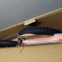 Kids Bike with Training Wheels, BMX Bicycle with Pedals for 2-4 Year Old Boys Girls, Birthday Gift