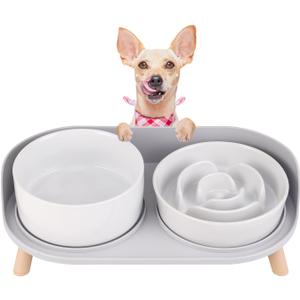 Elevated Slow Feeder Dog Bowls - Ceramic Food and Water Bowl Set with Stand - Raised Pet Dishes for Small and Medium Sized Dogs (White)