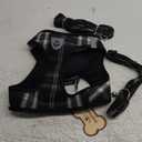 PUPTECK Adjustable Dog Harness Collar and Leash Set Step in No Pull Pet Harness for Small Medium Dogs Puppy and Cats Outdoor Walking Running, Soft Mesh Padded Reflective Vest Harnesses, Black S (S (CHEST 14.5"-16"))