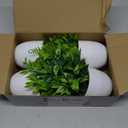 Der Rose 4 Pack Fake Plants Small Artificial Plants in Pots Faux Plants Indoor for Home Kitchen Table Bathroom Decor Accessories (White)