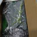 Der Rose 2 Pack Fake Plants Artificial Tropical Plants Indoor in Black Pot for Home Office Desk Accessories Bathroom Sage Green Decor