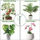 10 PCS Stackable Twig, Stackable Plant Support Stakes, Monstera Plastic Support Structures for Indoor & Outdoor Plants, Potted Plants, Flower Other Climbing Plants(Green, 10 Pack, 11."L)