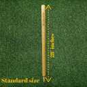 Cricket wickets with bails - Cricket Stumps Made of Wood, Set of 3 Stumps for Cricket with 2 bails, T20 Cricket Wicket, Cricket Stumps