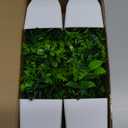 Der Rose 4 Pack Fake Plants Mini Artificial Greenery Potted Plants for Home Decor Indoor Office Table Room Farmhouse