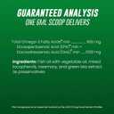 Nutramax Welactin Omega 3 Fish Oil for Dogs, Skin and Coat Health Supplement, Plus Joint, Immune, Kidney, and Brain Support, Premium Omega 3 Fatty Acids, For Dogs, 16 Ounce Liquid