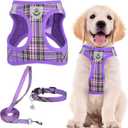 PUPTECK Adjustable Dog Harness Collar and Leash Set Step in No Pull Pet Harness for Small Medium Dogs Puppy and Cats Outdoor Walking Running, Soft Mesh Padded Reflective Vest Harnesses, Purple M (M (CHEST 16"-18"), Purple)
