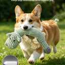 FoxFocus Durable Squeaky Dog Toys for Medium Dogs to Keep Them Busy, Green