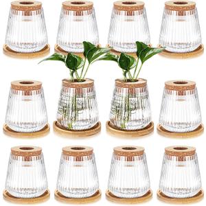 Baderke 12 Packs Propagation Vases for Plants Plastic Plant Propagation with Hole Lid and Bamboo Stand Growing in Water Hydroponic Home Office Desktop Vase Decoration