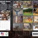 Whitetail Deer Calendar 2026 White Tail Hunting Gifts for Hunters Men Monthly Wall Calender 12 Month | American Made In The USA